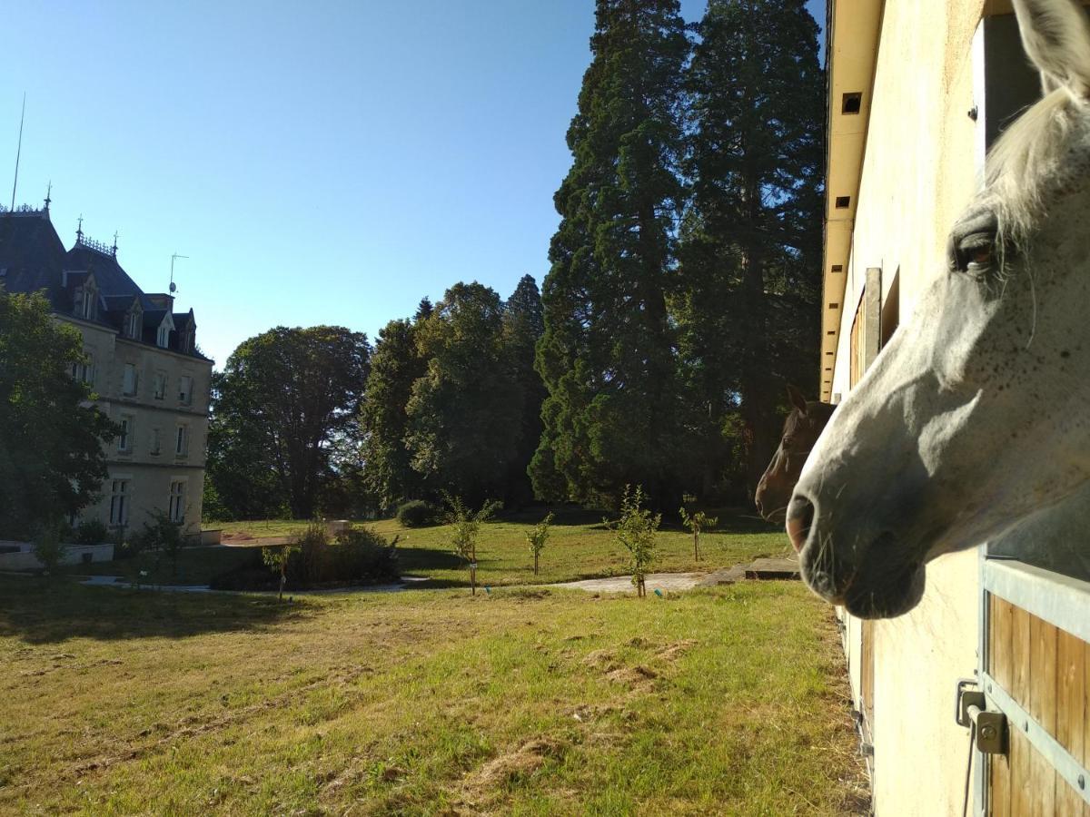 Hotel Chateau De St Alyre Sanssat Exteriér fotografie